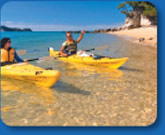 Abel Tasman in one day