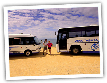 Marahau Beach, Abel Tasman National Park